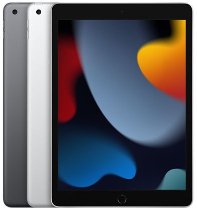 Apple iPad 10,2 Zoll (2021)  Wi-Fi + Cellular 64GB verkaufen