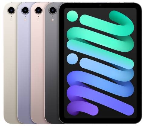 Apple iPad mini 6 (2021) WiFi + Cellular 256GB verkaufen
