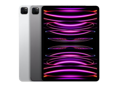 Apple iPad Pro 11 Zoll (2022) WiFi 256GB verkaufen